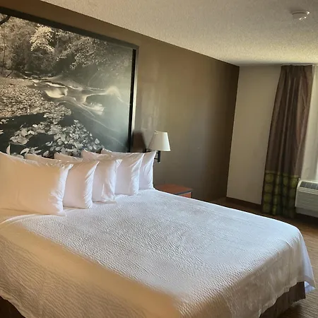 Super 8 By Wyndham Colorado Springs Airport Motel